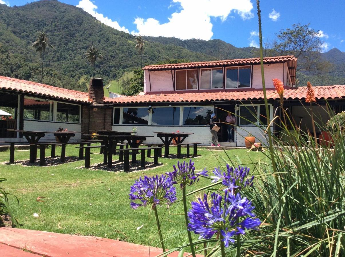 살렌토 Palmas De Cocora 게스트하우스 외부 사진
