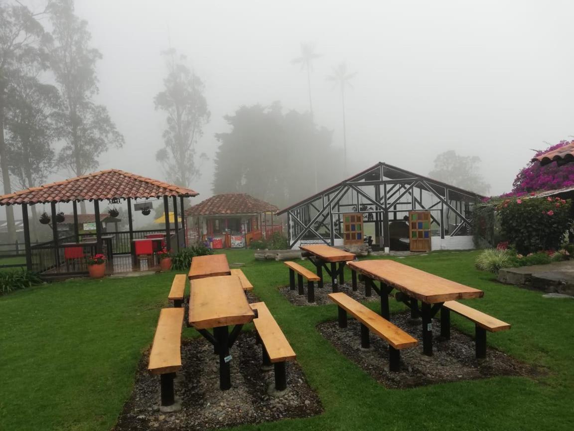 살렌토 Palmas De Cocora 게스트하우스 외부 사진